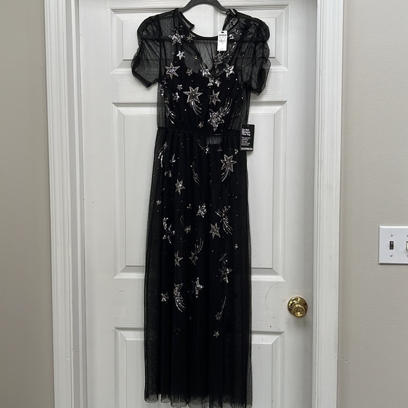 brand new with tags Express sheer dress with built in bikini bodysuit. size XS. - Picture 2 of 5